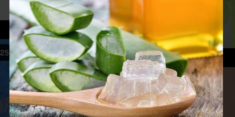 آلوئه ورا چیست و ترکیب آن با ژل رویال چه خواصی دارد؟