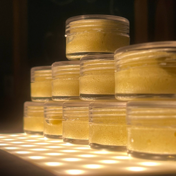 سمپل ژل رویال هیپو 5g (۱۰ عدد)